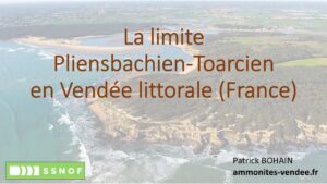 Limite Pliensbachien Toarcien Vendée littorale Patrick Bohain