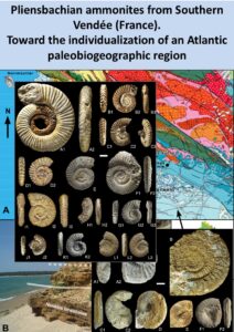 Pliensbachian ammonites from Southern Vendée (France). Toward the individualization of an Atlantic paleogeographic region